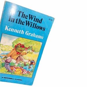 The wind in the willows vintage book